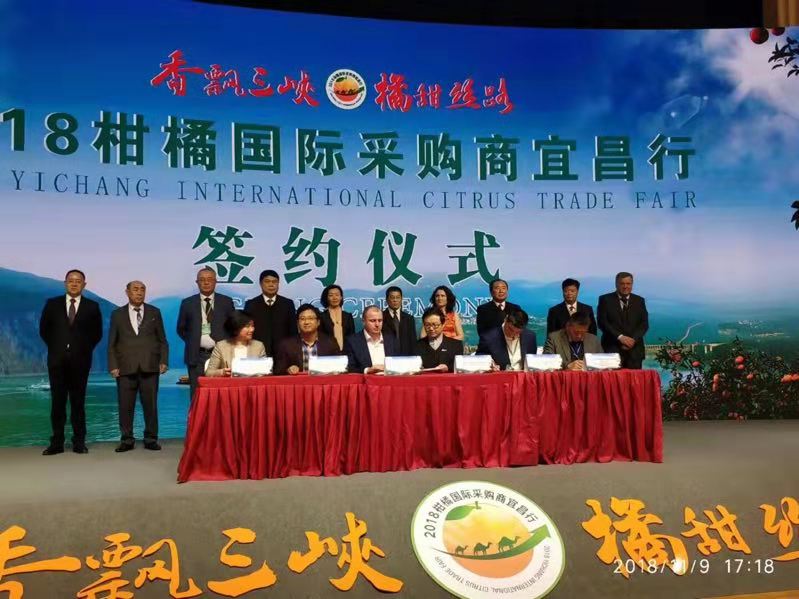 點品牌設(shè)計