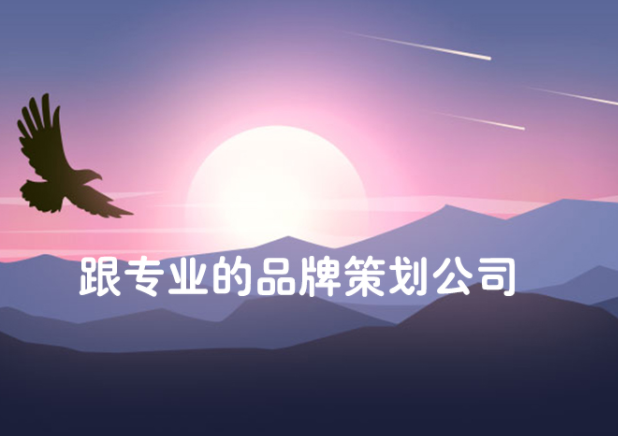 公司怎么通過營銷策劃去打造品牌