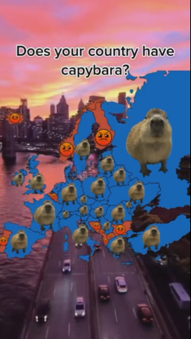 點品牌設(shè)計