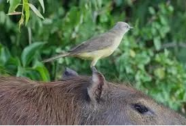 點品牌設(shè)計