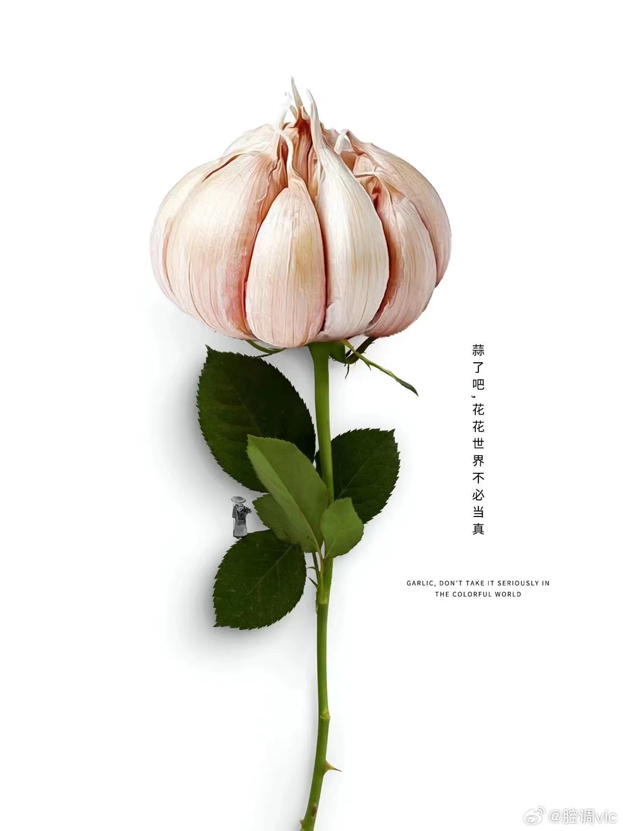 點(diǎn)品牌設(shè)計(jì)