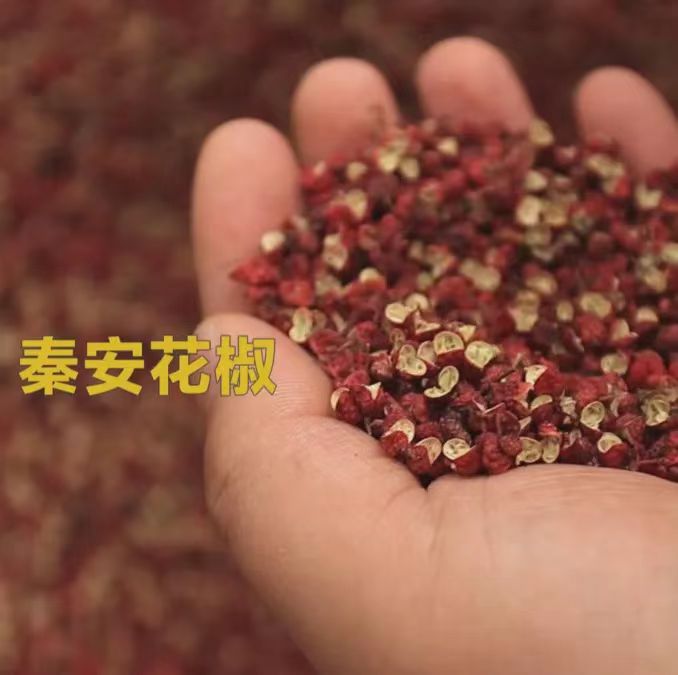 點品牌設(shè)計