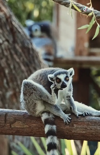 點(diǎn)品牌設(shè)計(jì)